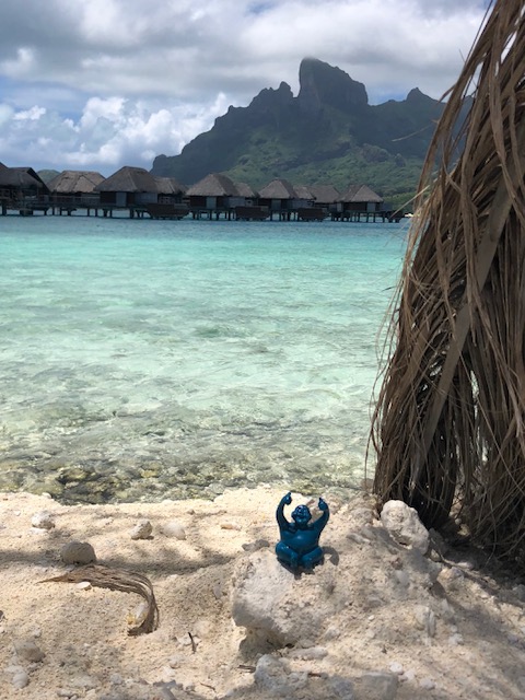 Syd is no longer the Suburban Monk, he has become the Beach Monk in Bora Bora! Who will Live, Laugh and Love with him next?
