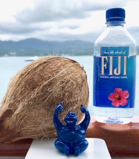 Syd grooving on Fijian water and the Fijian tree-of-life nut, the coconut