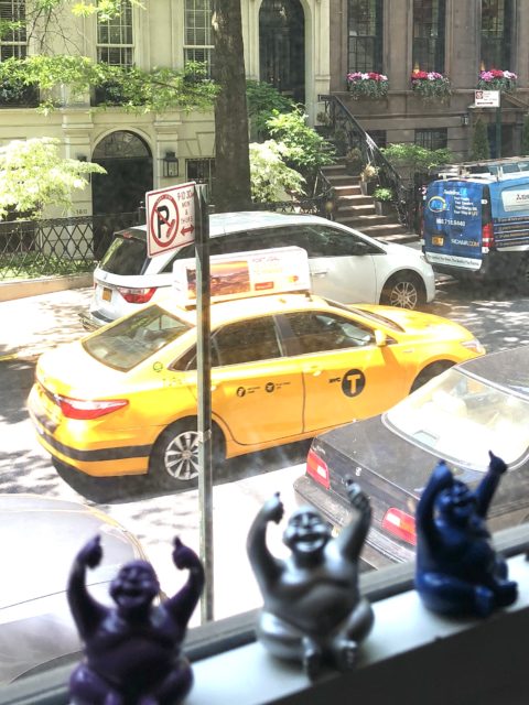 After 5 months of traveling the high seas, Syd is enjoying his NYC apartment